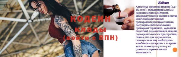 метадон Богданович