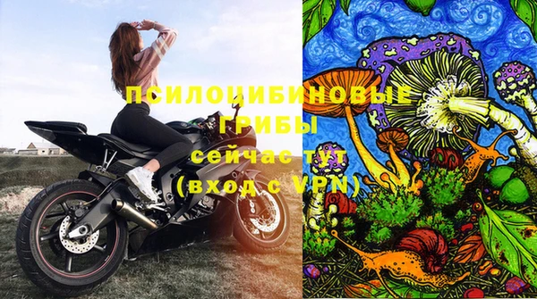 a pvp Богородицк