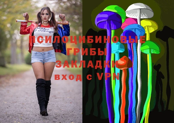 метадон Богданович