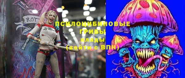 a pvp Богородицк