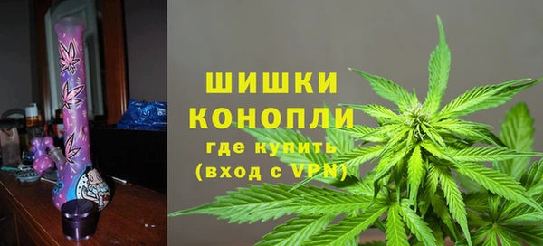 метадон Богданович